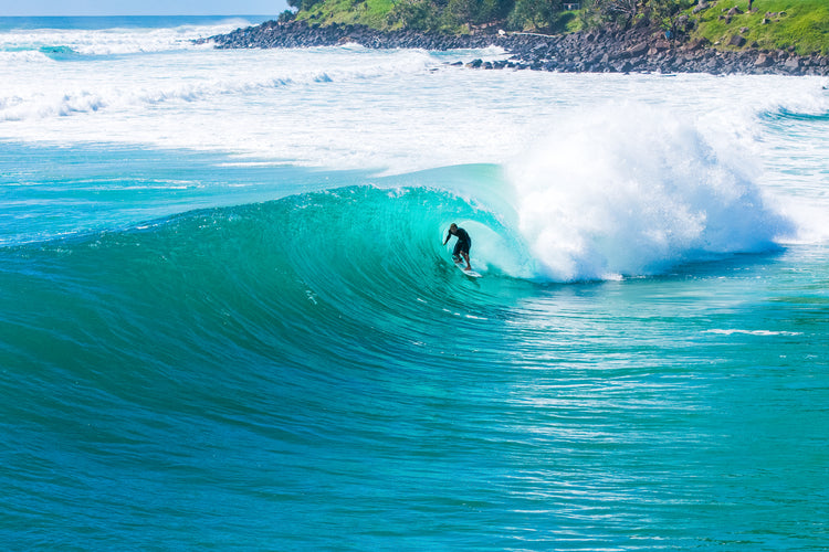 Willis Droomer - Burleigh Heads